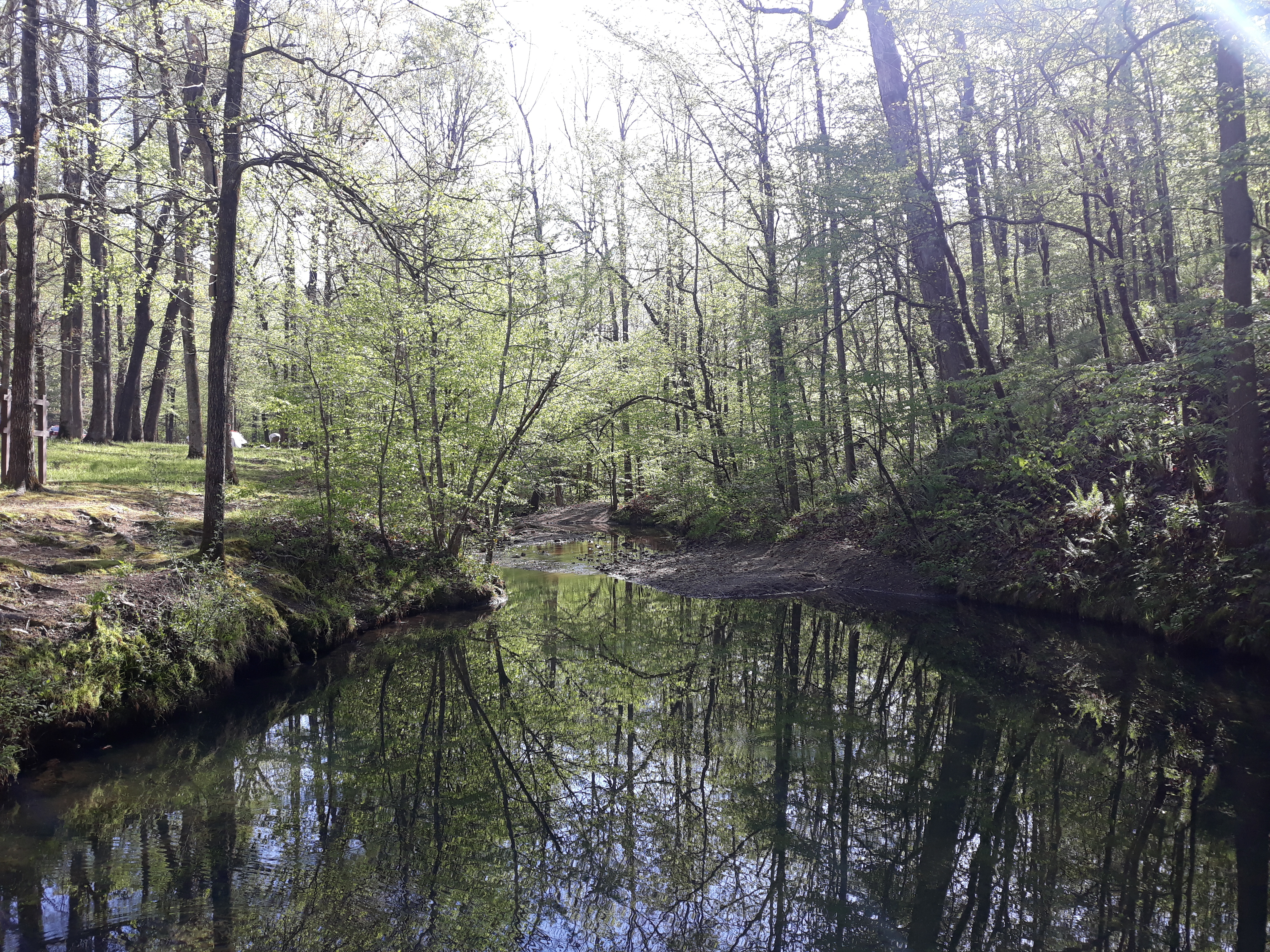 Crystal Campground