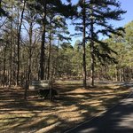 Dam area campground
