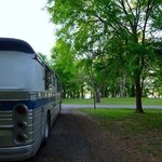 Spring hill park coe