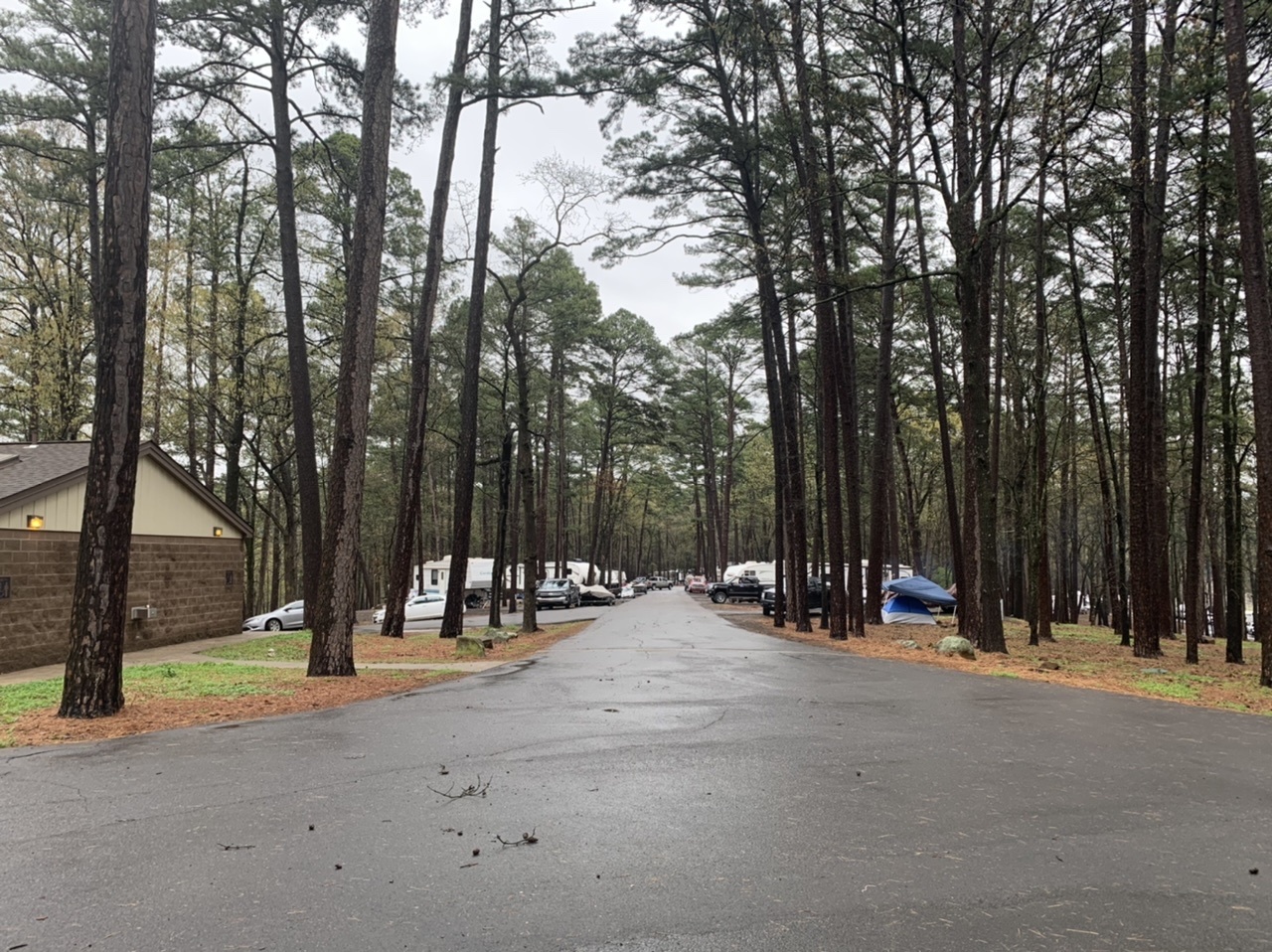 Waveland Campground Reviews updated 2024