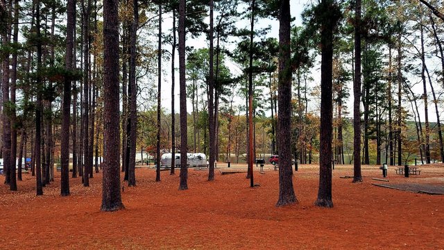 White Oak Lake State Park Campground