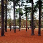 White oak lake state park