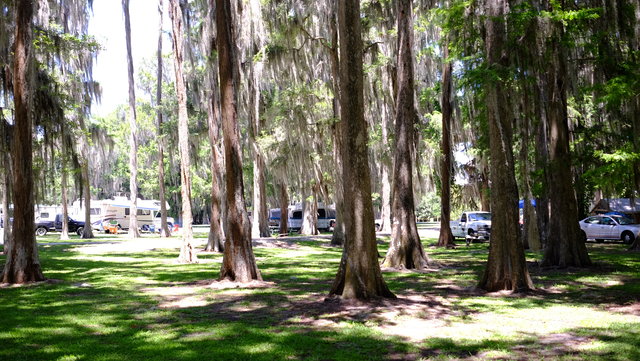 Lake Arbuckle Park Campground Reviews Updated 2020