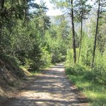 Fish lake 6