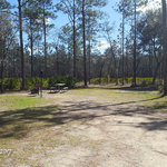 Camel lake campground