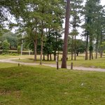 Chattahoochee rv campground fishing resort