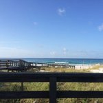 Henderson beach state park