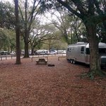 Highlands hammock state park