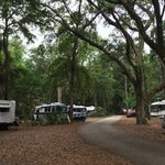 Hillsborough river state park