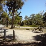 Kissimmee prairie state park