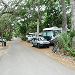 Manatee hammock campground
