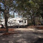 Ochlockonee river state park