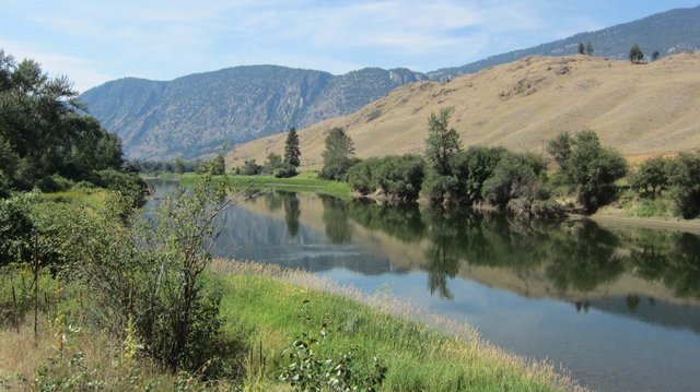 Cutchie #3 updated 2025