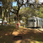 Salt springs recreation area