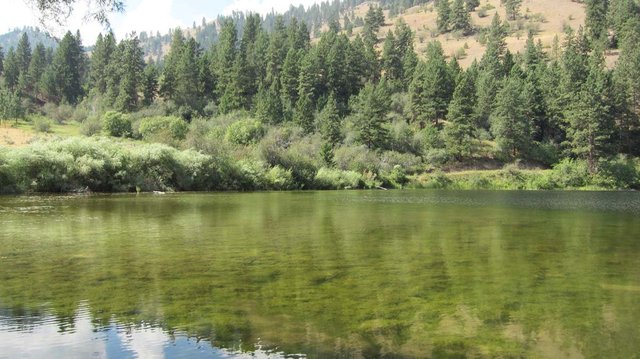 Fish Lake #1 photo 2