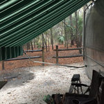 Wekiwa springs state park