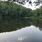 Dockery lake