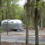 General coffee state park