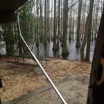George l smith state park