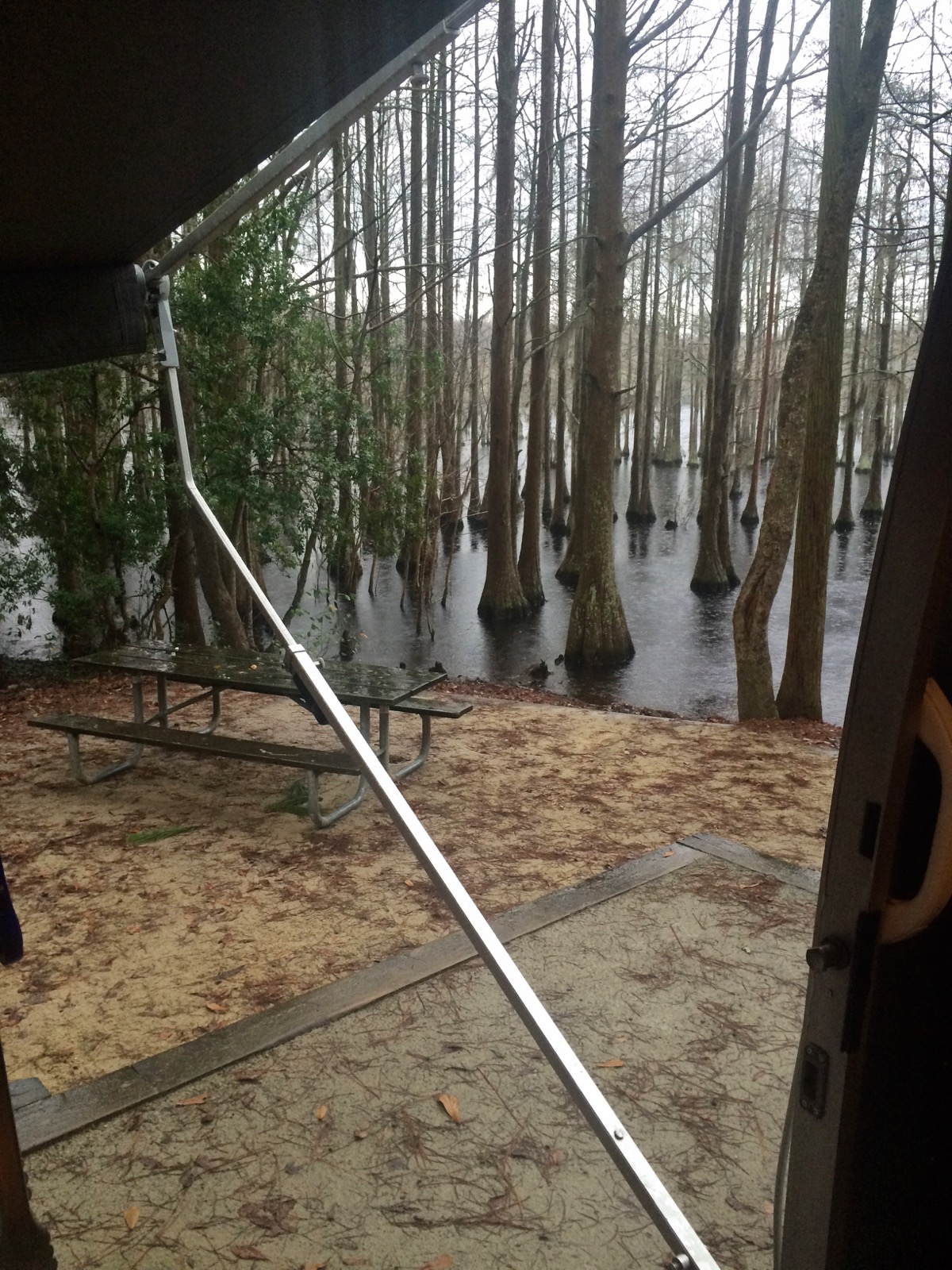 Photo of L. Smith State Park Roadtrippers