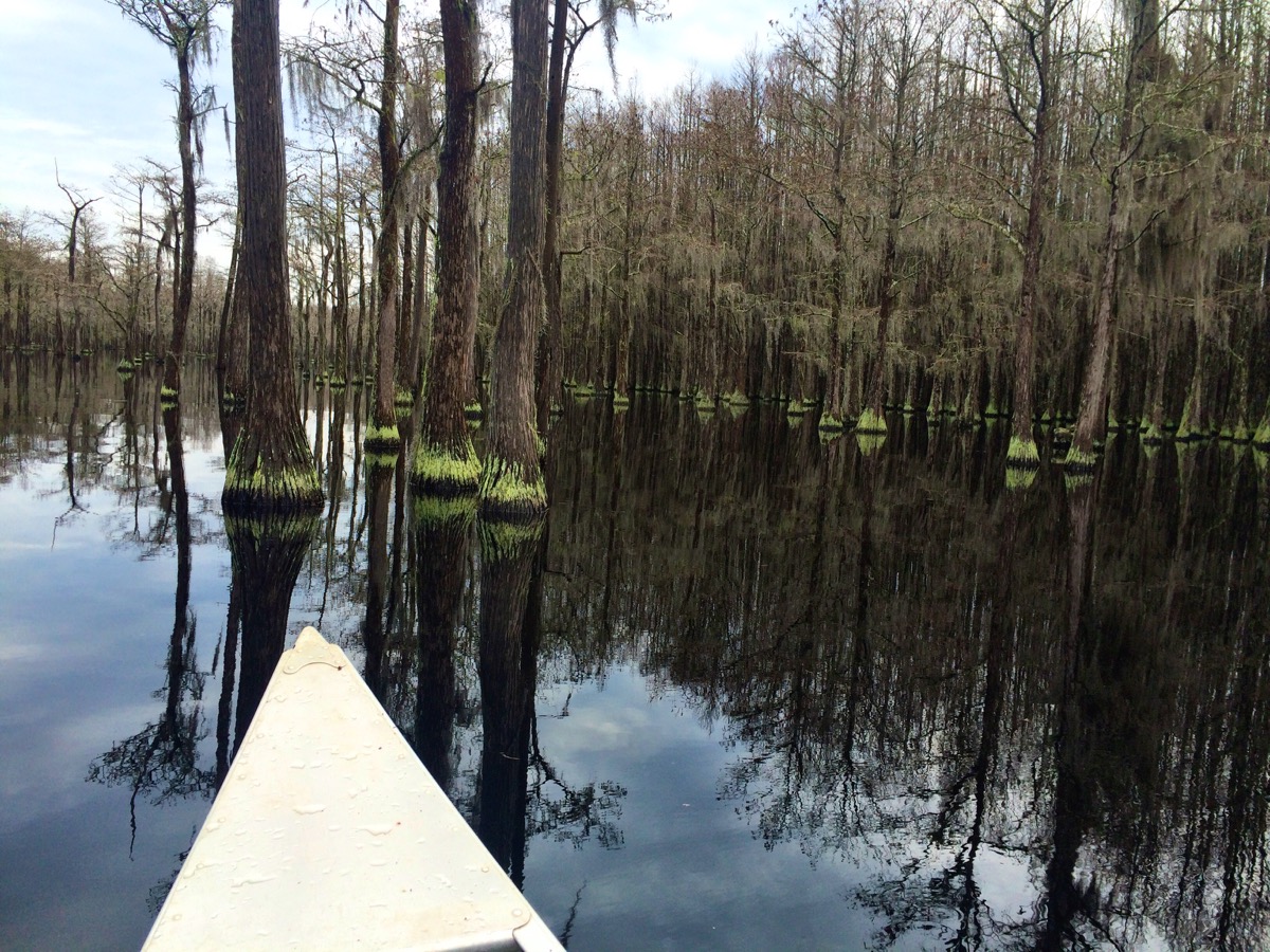 Photo of L. Smith State Park Roadtrippers