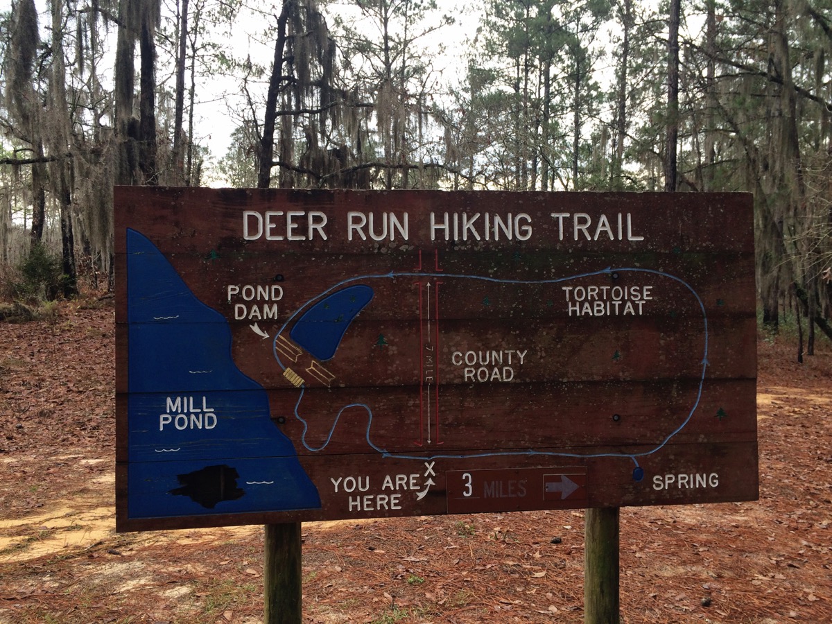 Photo of L. Smith State Park Roadtrippers