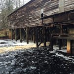 George l smith state park