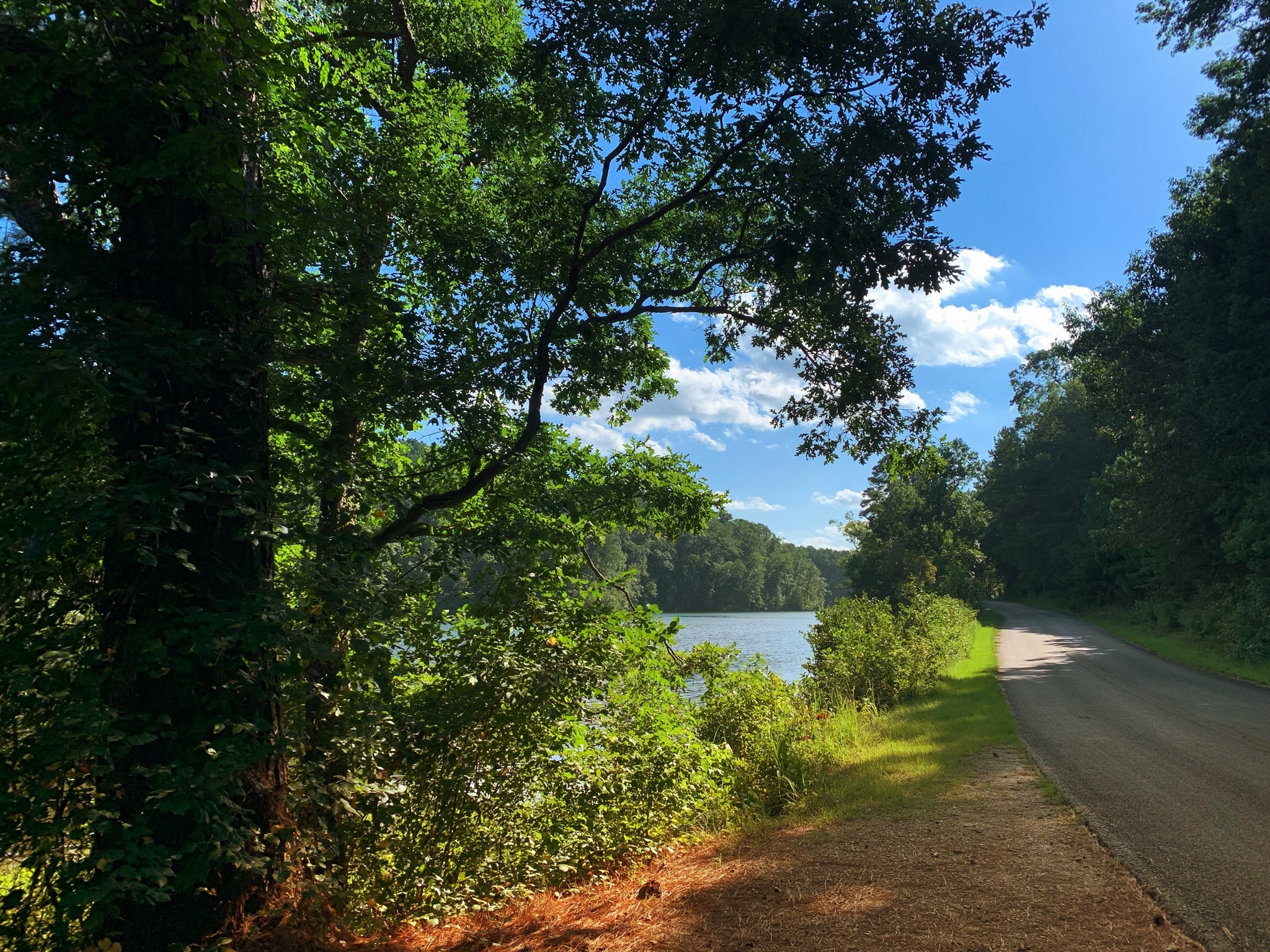 Lake Russell Recreation Area Reviews updated 2026