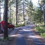 Swan lake campground