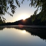 Vogel state park