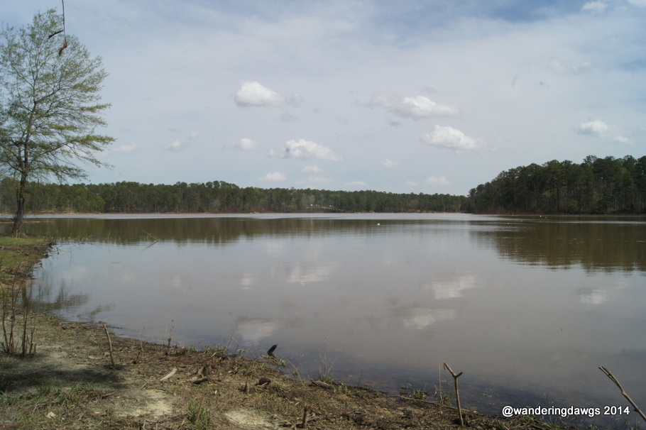 Winfield Campground Reviews updated 2024