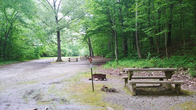 Fenton Self-Service Campground photo 2