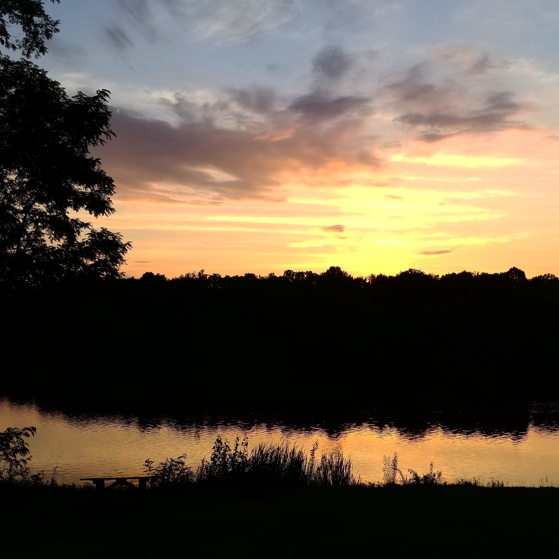 Lake Jericho Recreational Camping Area Reviews updated 2024