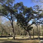 Acadiana park campground