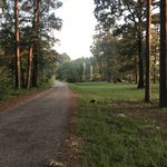Corney lake complex