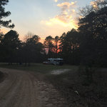 Custis camp