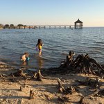 Fontainebleau state park