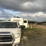 Lamar dixon expo center