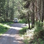 Cottonwood campground wa