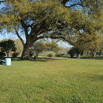 South city park