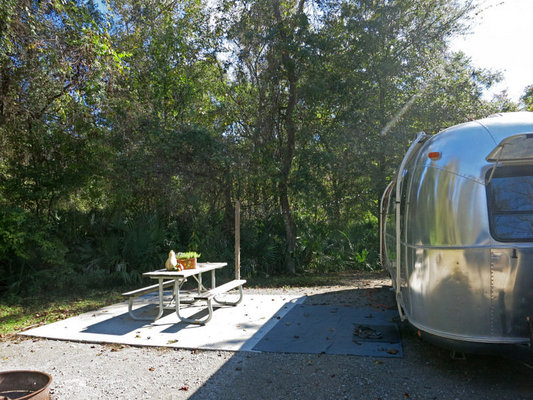 Palmetto Island State Park Reviews Updated 2020