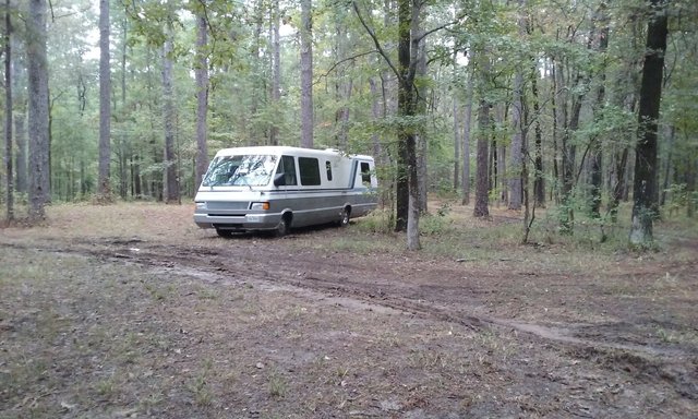 Pearson Camp photo 2