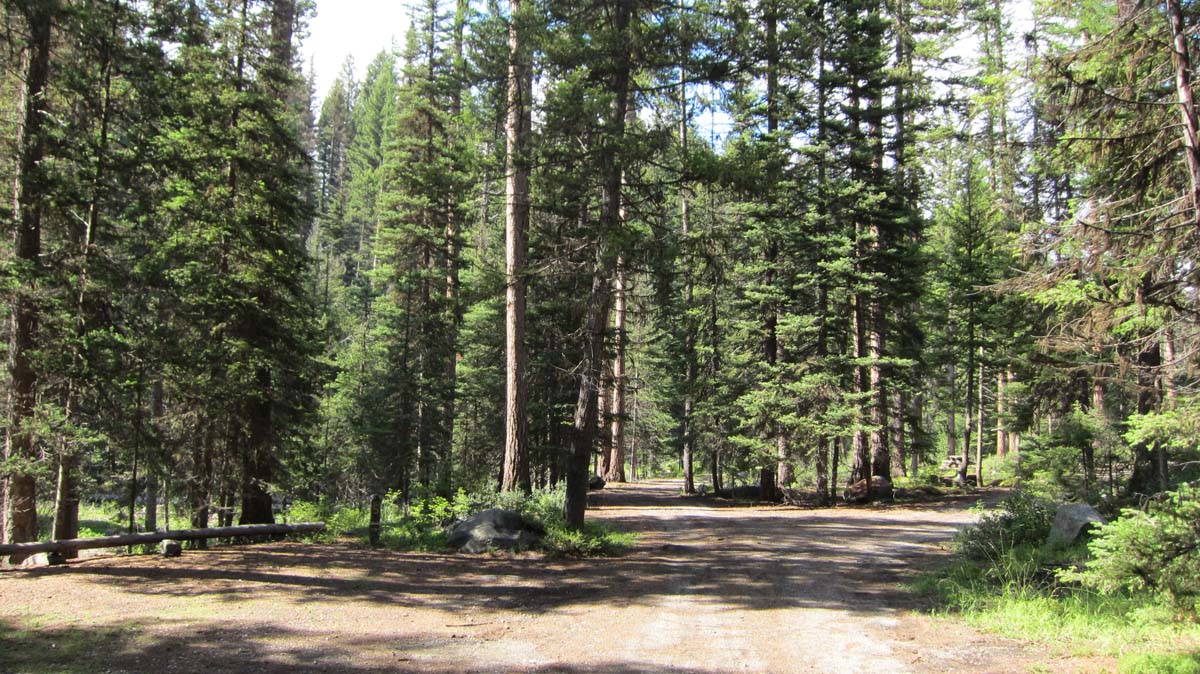 Salmon Meadows Campground Reviews updated 2024