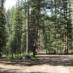 Salmon meadows campground
