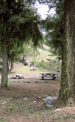North Fork Nine Mile Campground photo 2