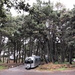 Mackerricher state park