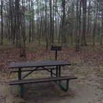 Rocky springs campground natchez trace parkway
