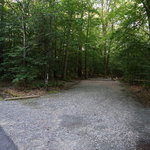 Merchants millpond state park