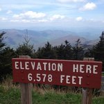 Mount mitchell state park