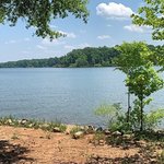 Nutbush bridge state rec area